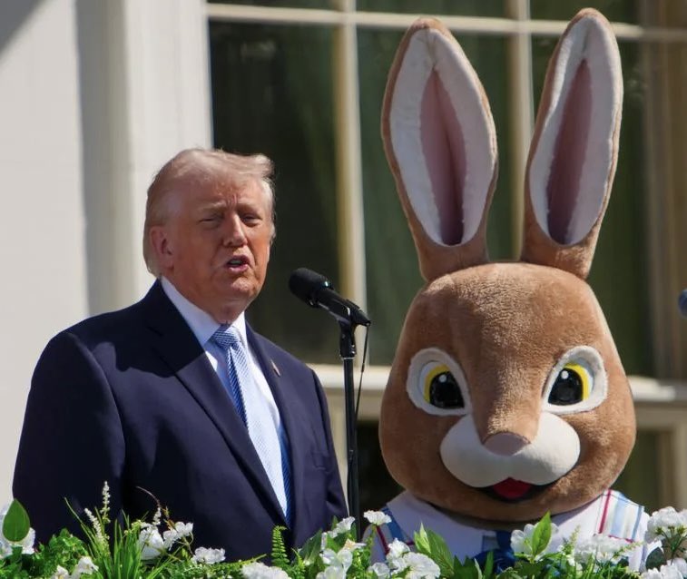 MassiveHammer 🫧𝕏 tweet media