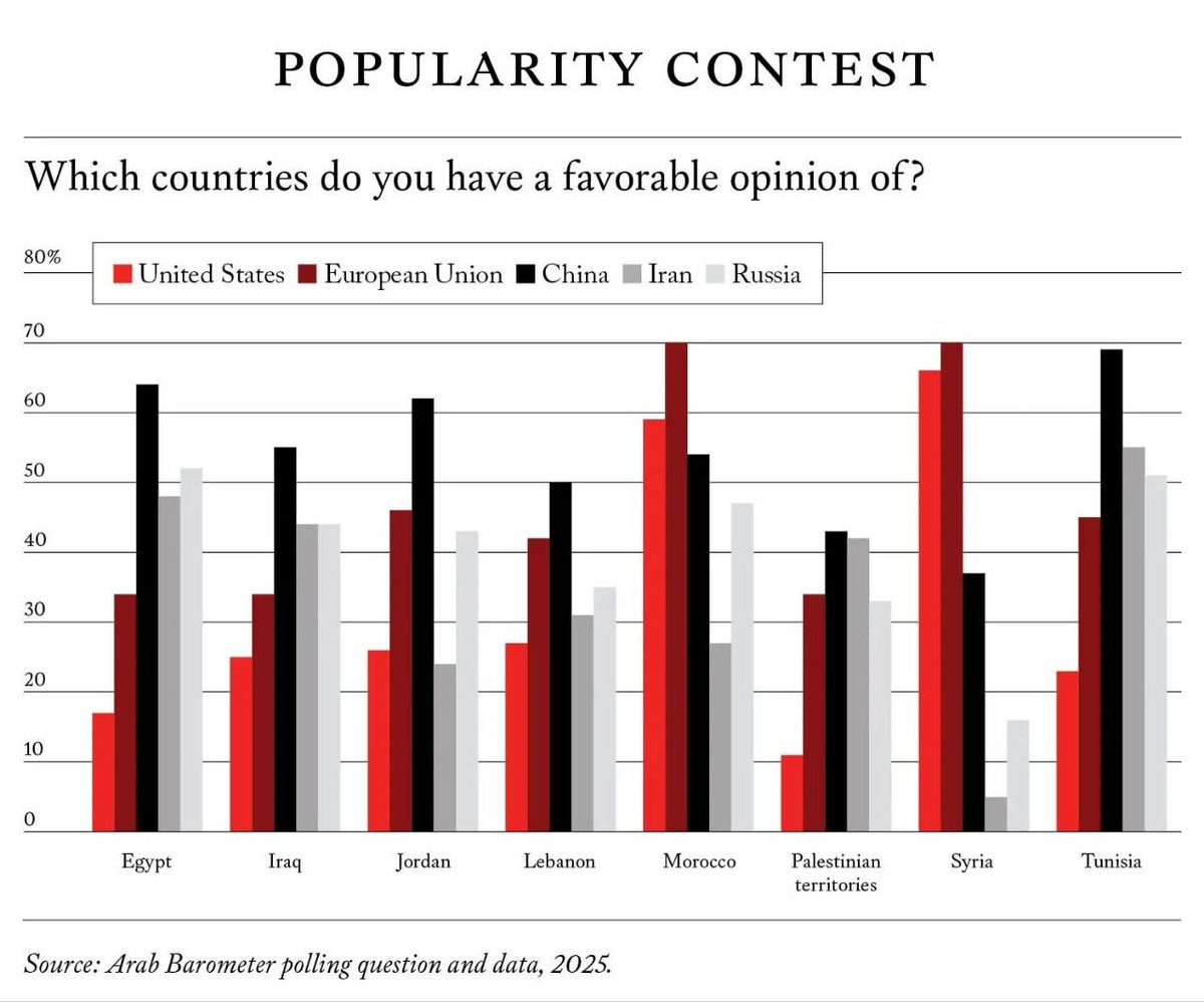 الصين بالعربية tweet media
