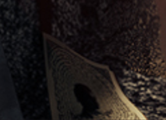 Zin 🪿🦆🐤 tweet media