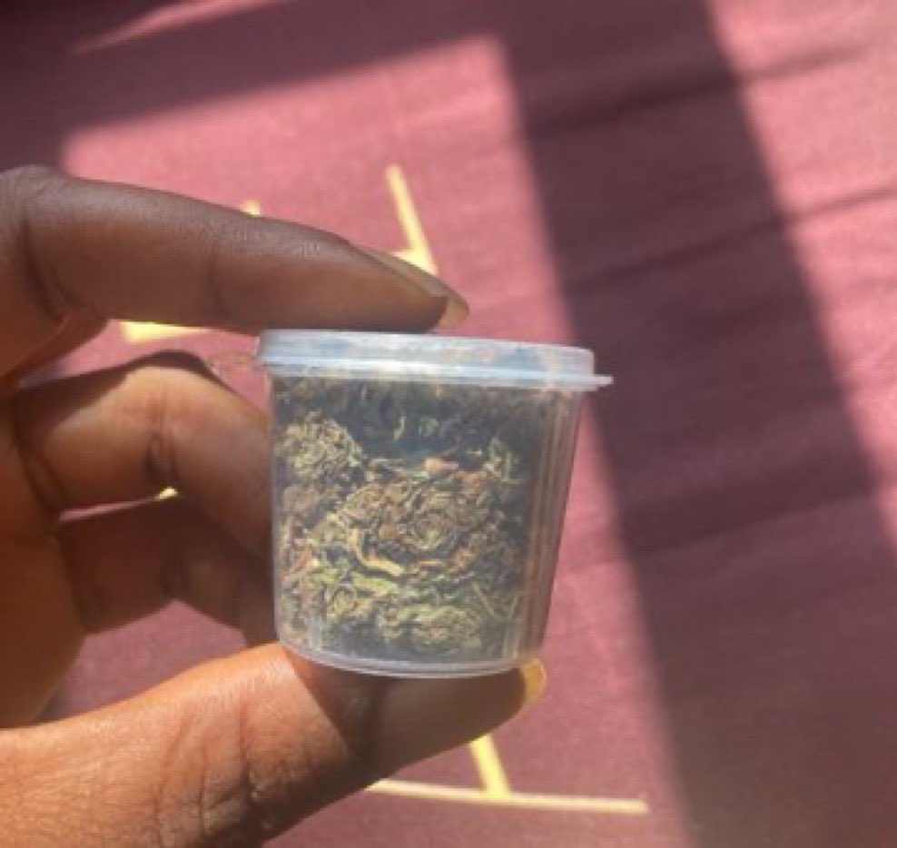 CEDA 🥀 🍃 tweet media