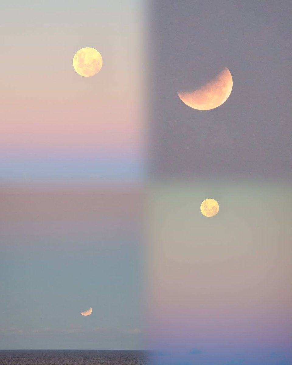 La Luna tweet media