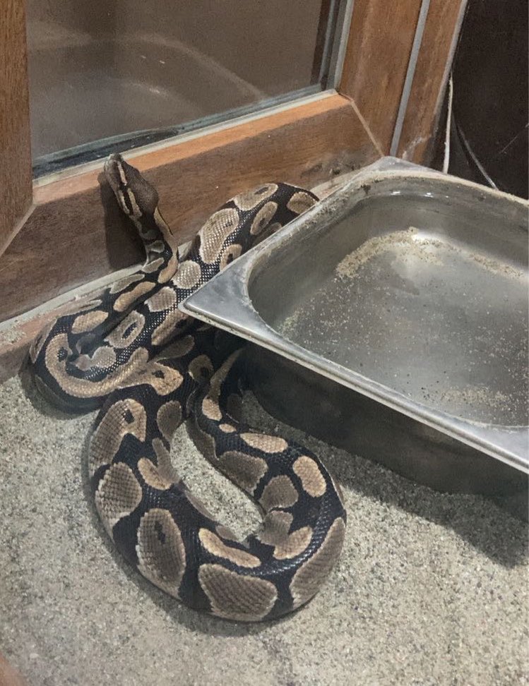 zey🇹🇷 tweet media