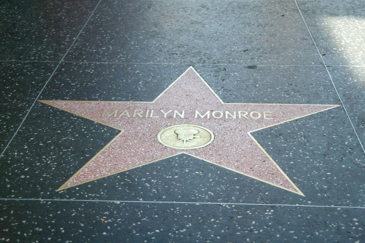 🅼🅸🆂🅸🅵🆄🐦 tweet media