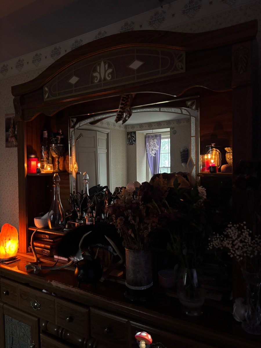 ⟡˚⋆𐙚 sai tweet media