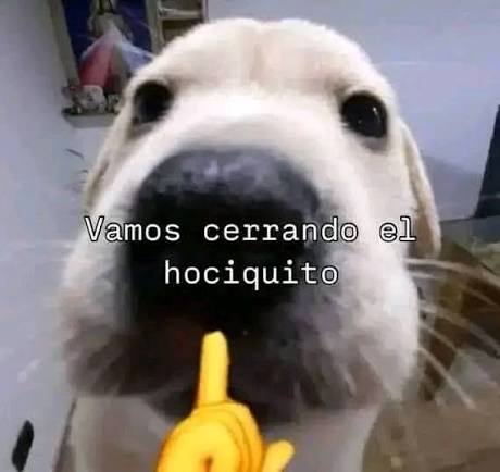 Desasosiego tweet media