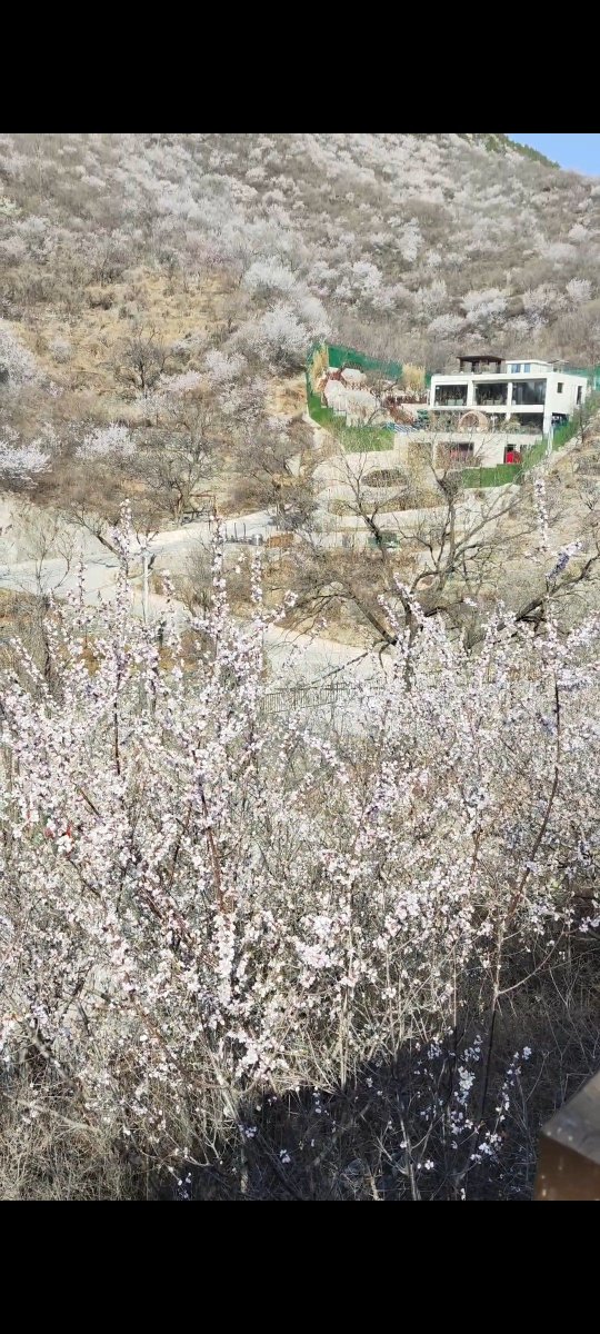 Virgilio Anderson tweet media