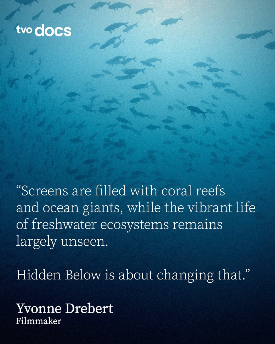 TVO Docs tweet media