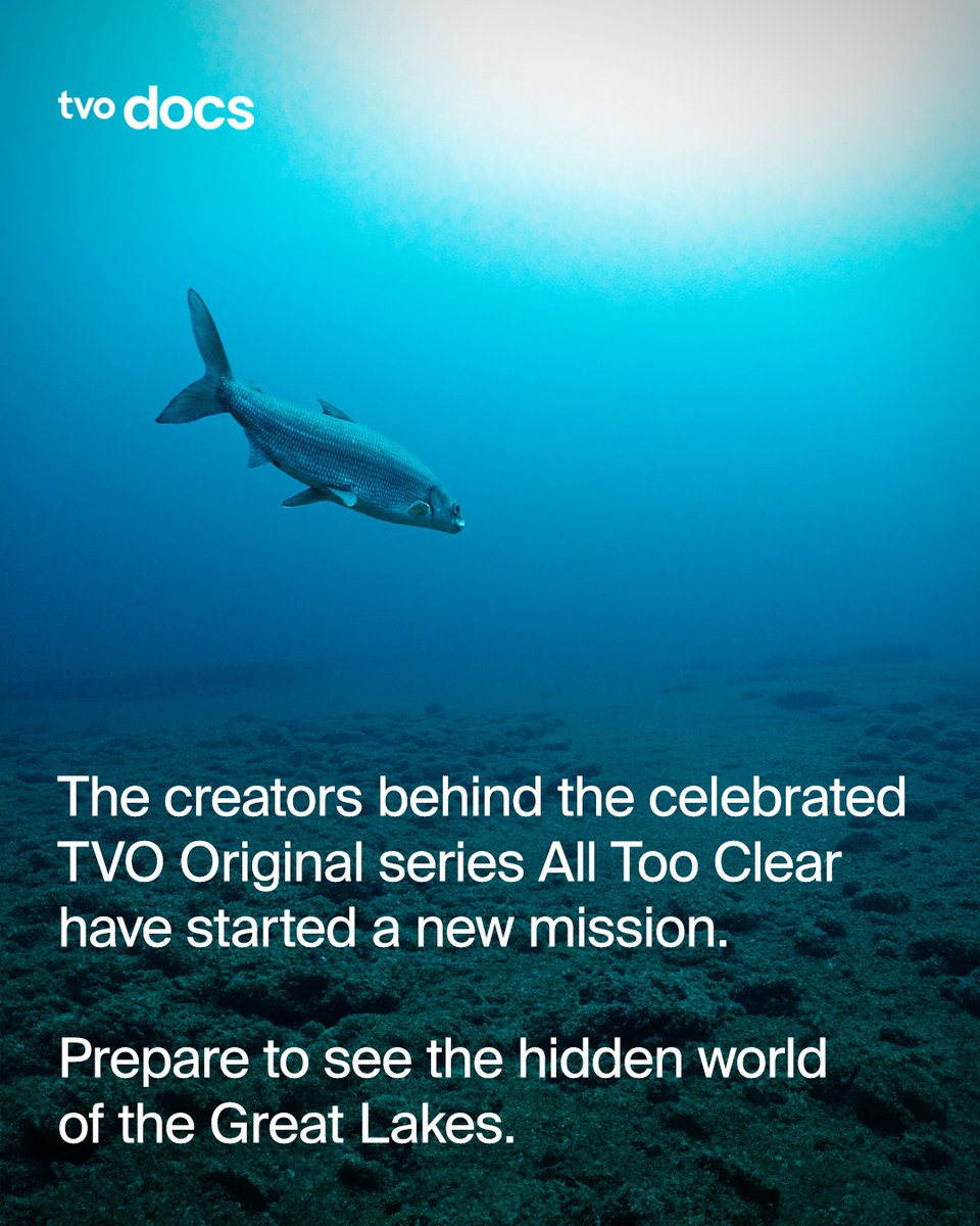 TVO Docs tweet media