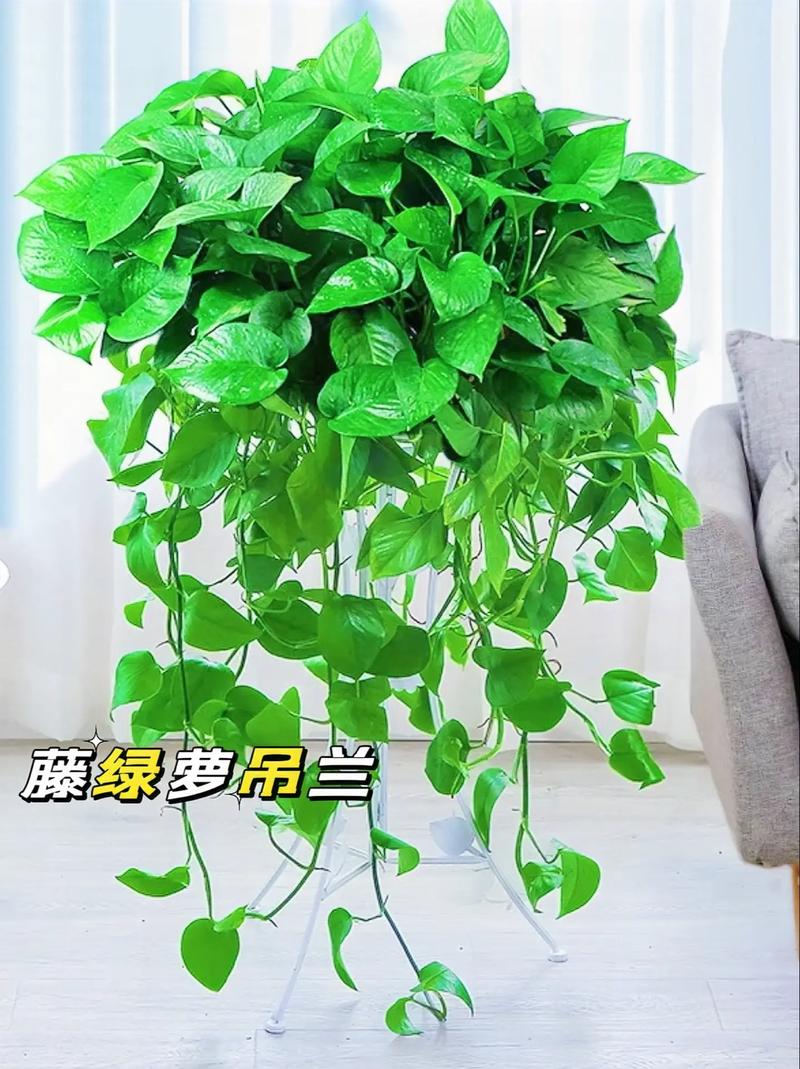 May Sargent tweet media