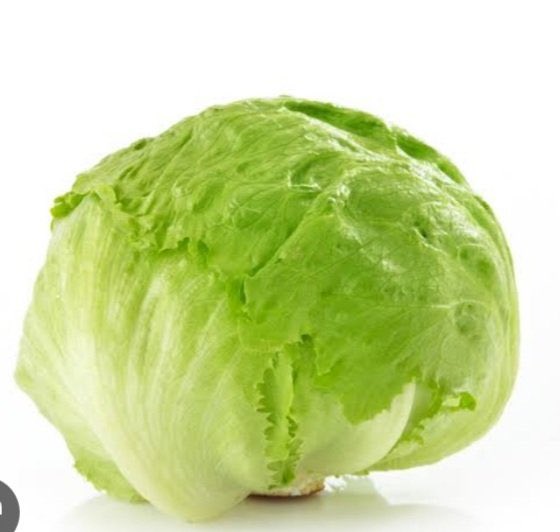 Jiggly News 🇨🇦 tweet media