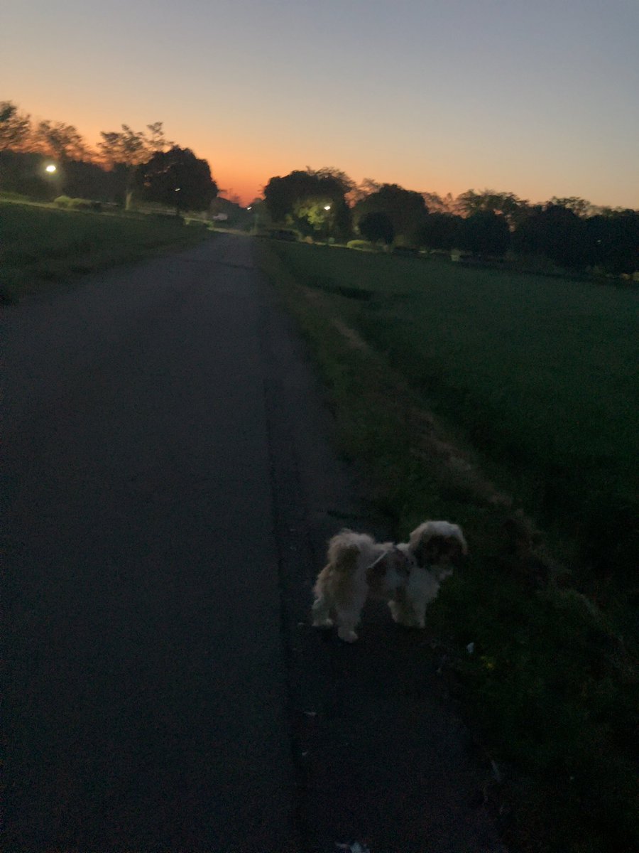 ひろし tweet media