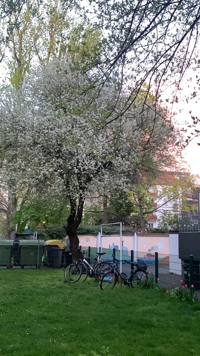 Raphaela Morning tweet media