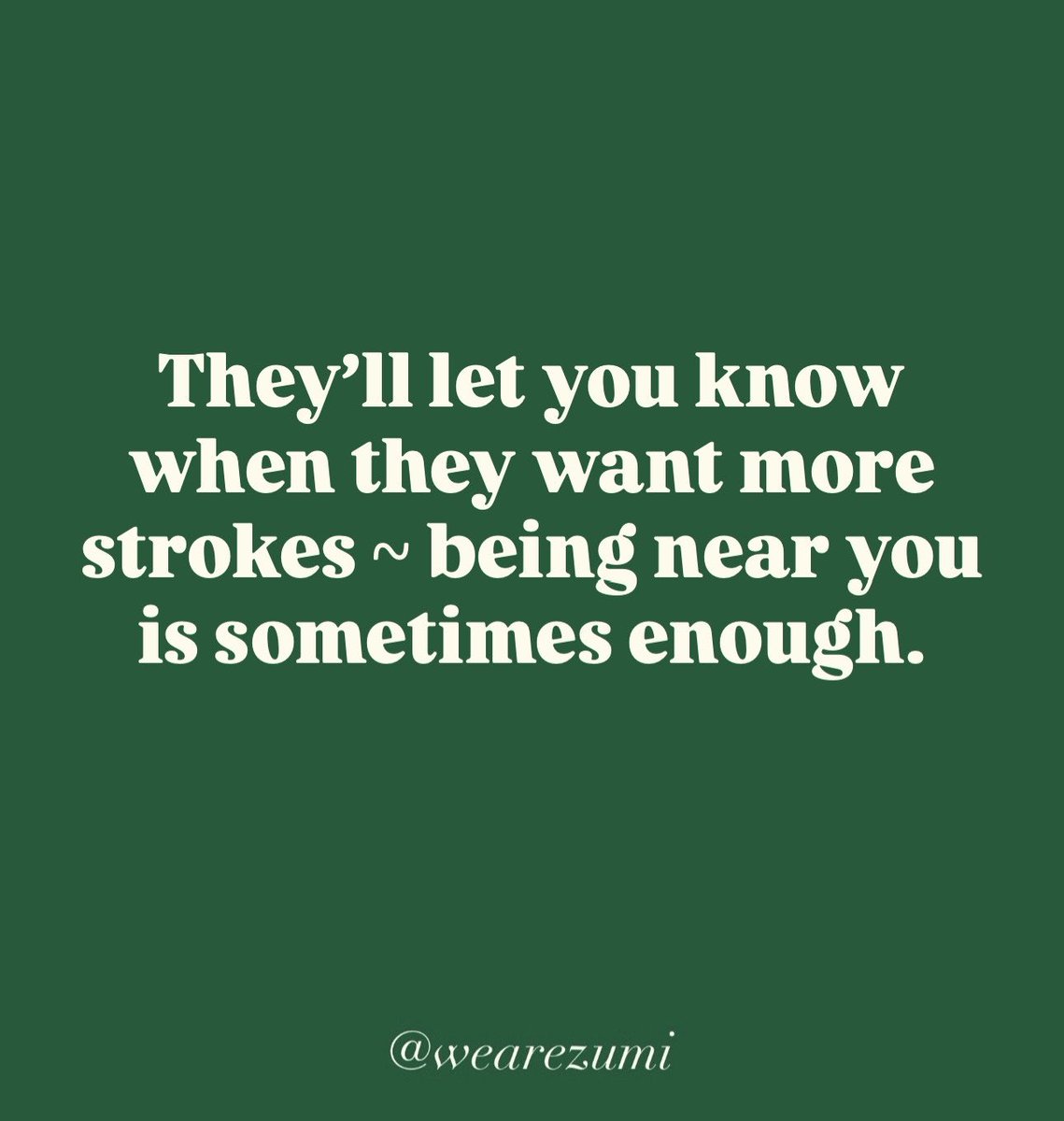 zumi - pet care app tweet media