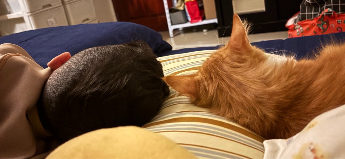 Mon Izin Pimpinan 🙏 tweet media