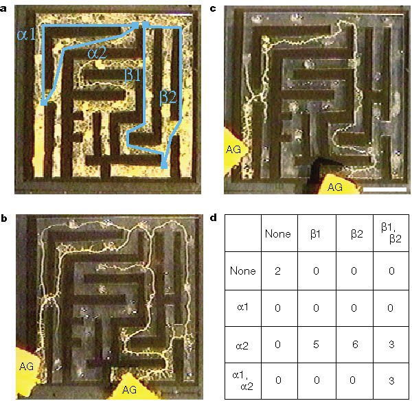 Breengrub2's tweet image. Cognitive War Games