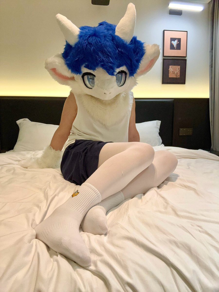 大灰啊灰啊灰 tweet media