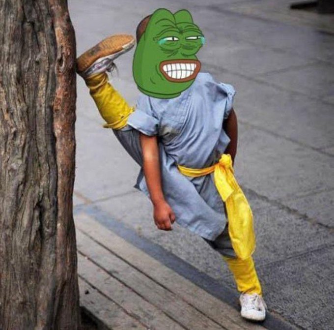 Time Flies tweet media