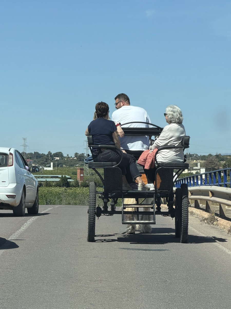 La Talaya tweet media