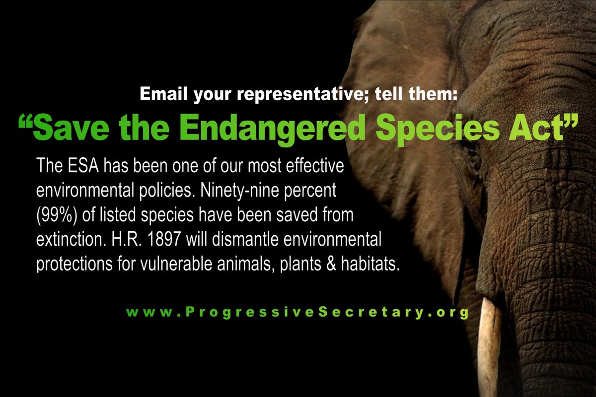 🔸 Progressive Secretary 🔸 tweet media