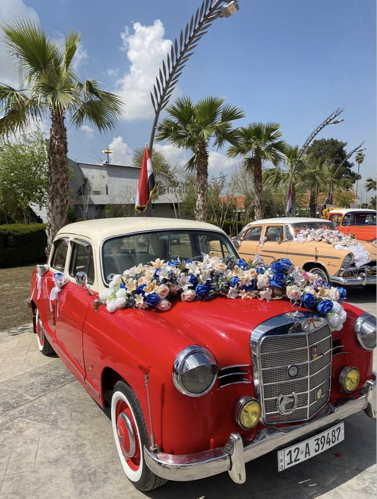 سومرية tweet media