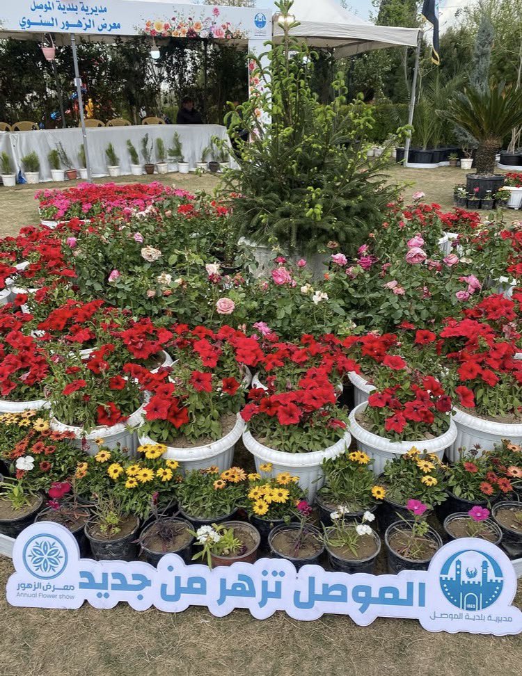 سومرية tweet media