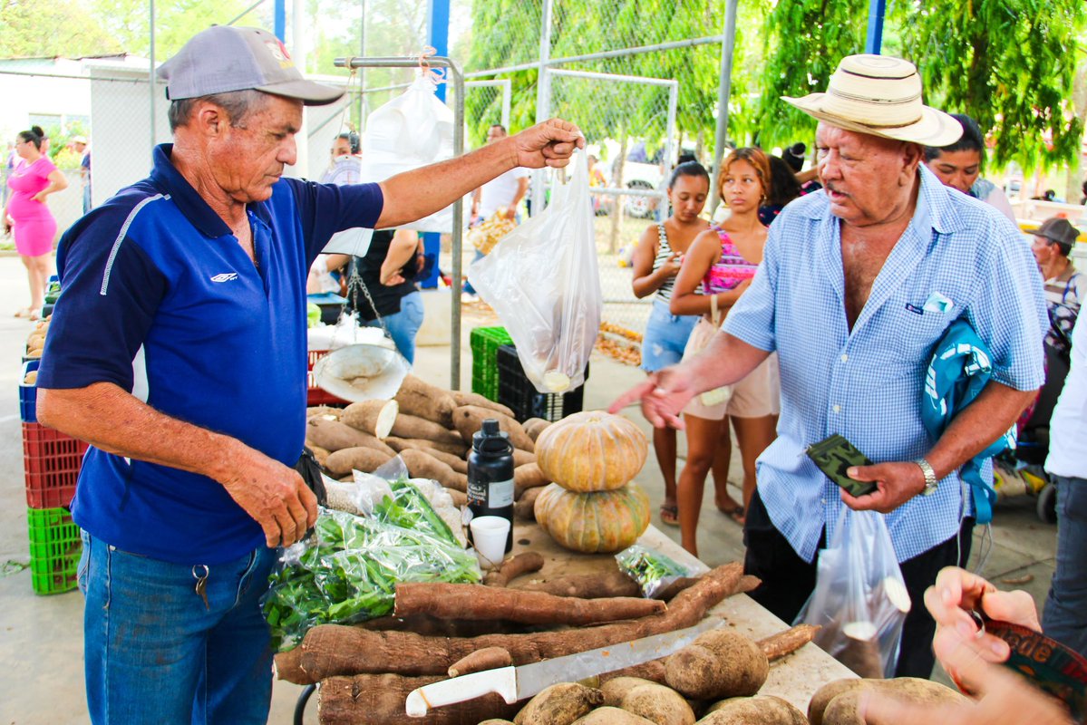 Instituto de Mercadeo Agropecuario tweet media