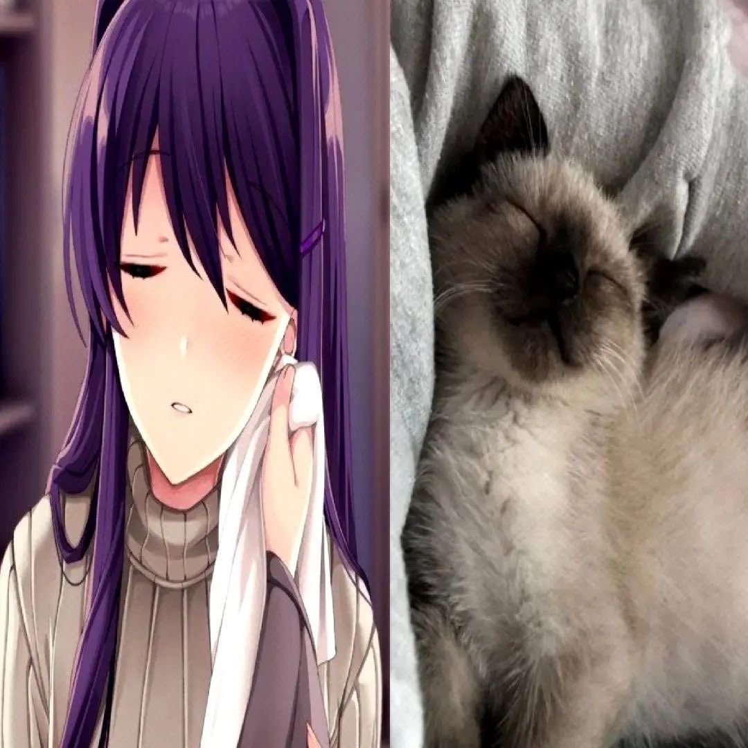 daphne ₊˚⊹ᰔ tweet media