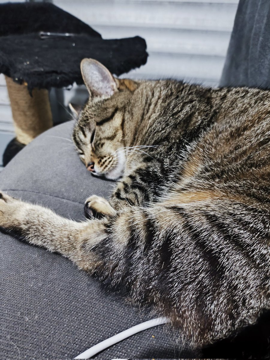 Psicóloga da Ana Paula Renault - Francielly tweet media