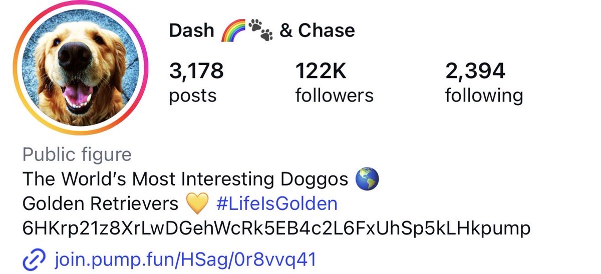 AntiHerdtrader's tweet photo. All of ct sleeping on the alpha

$Chase is the most viral dog right now and has so many views along with the ticker getting tons of views and reposted by massive accounts

Also owner onboard 

6HKrp21z8XrLwDGehWcRk5EB4c2L6FxUhSp5kLHkpump https://t.co/49KVCNQxs2