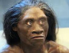 ๐๐๐๐ฆ tweet media