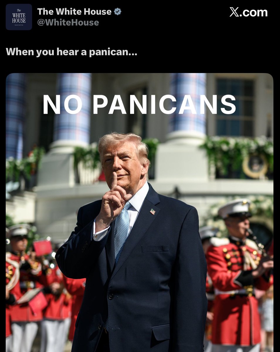 Hamidreza tweet media