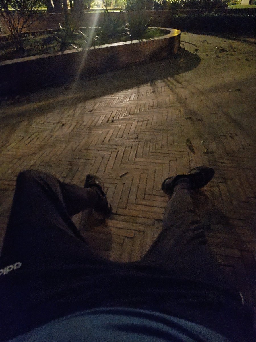 CRuiSiNG RuNNeR SeV 🏞️ (25k) tweet media