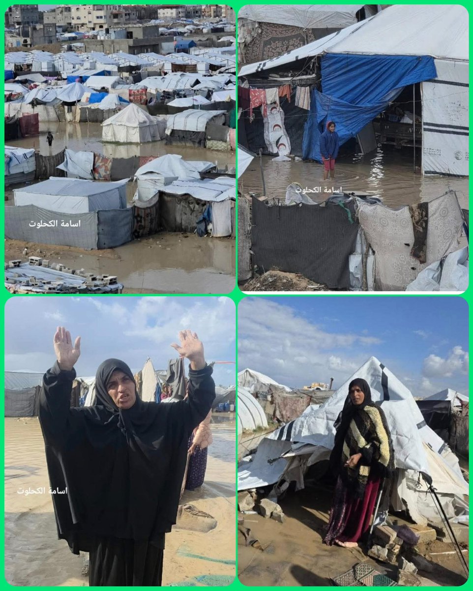 هي نفسها العقلية الإسرائيلية الغادرة القذرة الجبانة لا تتغير..
مجازر بالجملة يرتكبها الاحتلال الإسرائيلي في مناطق عدة في جنوب لبنان، وهناك حديث أن الشهداء بالعشرات، إن لم يكن بالمئات..
إسرائيل غير قادرة على تجرّع فكرة التسوية الإقليمية، وستسعى لإفشال الاتفاق بكل ماأوتيت من قوة.