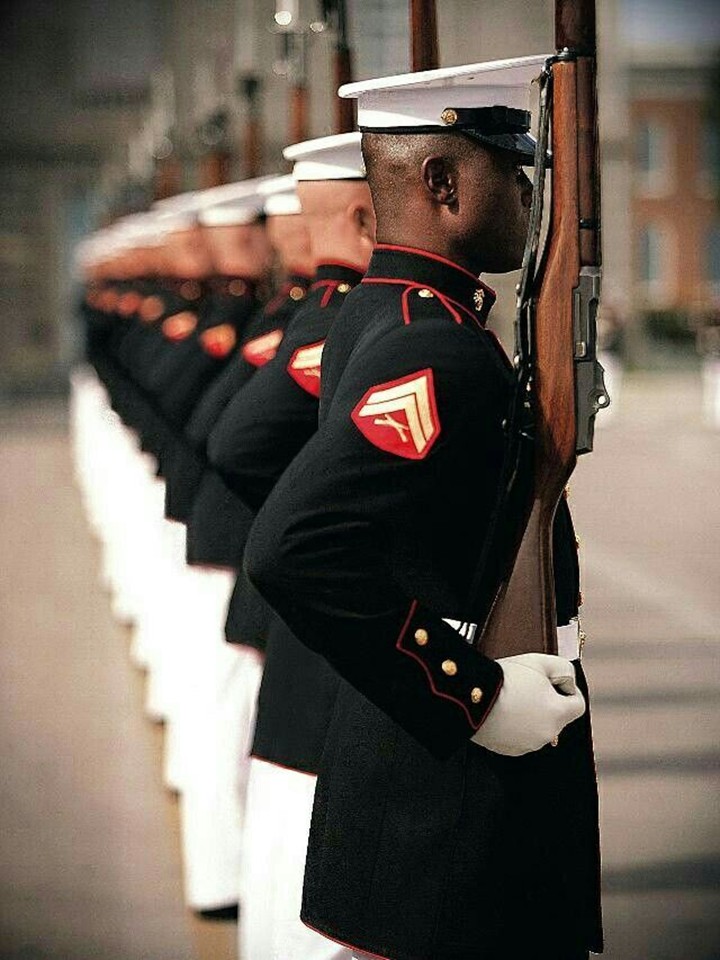 Hey Marine! tweet media