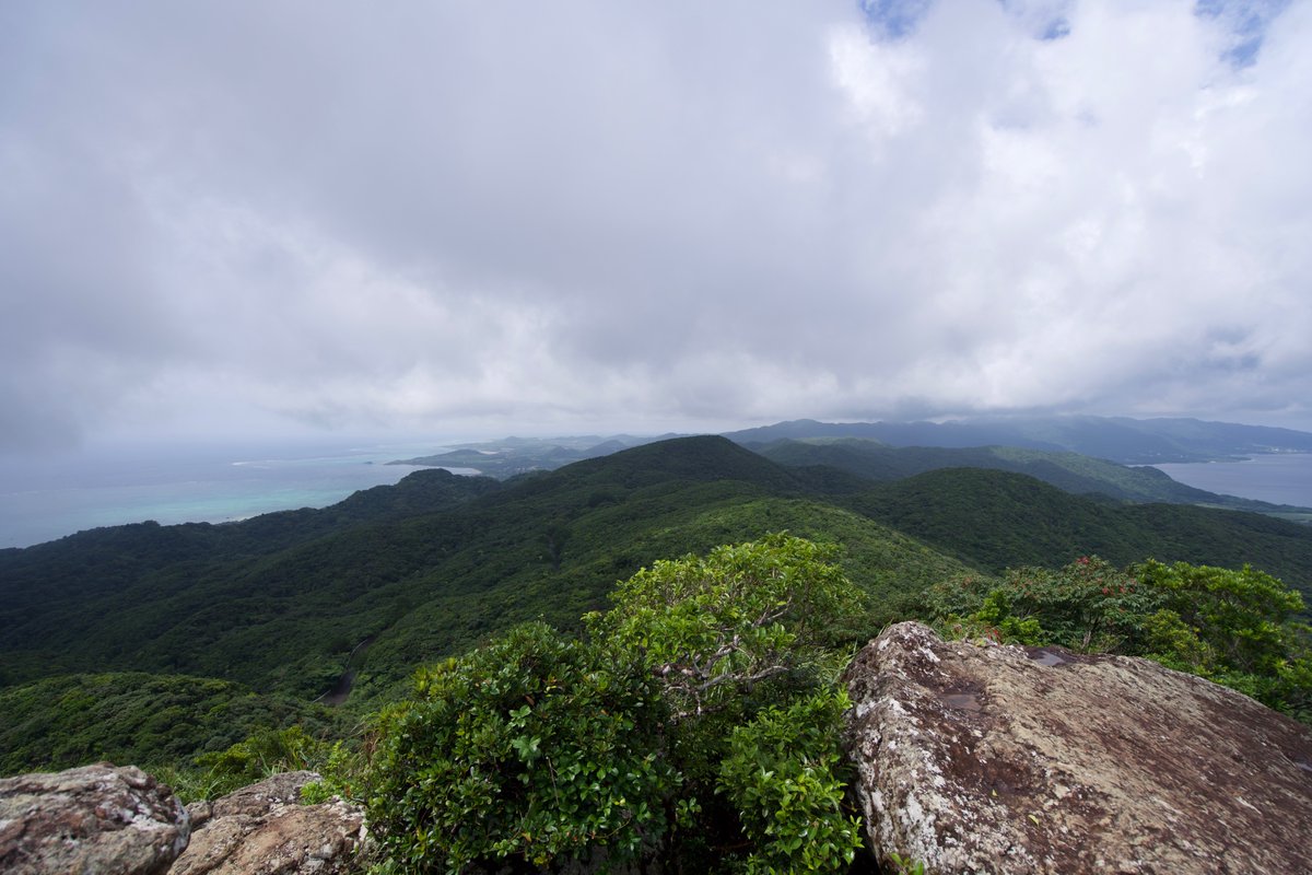 mabudeux tweet media