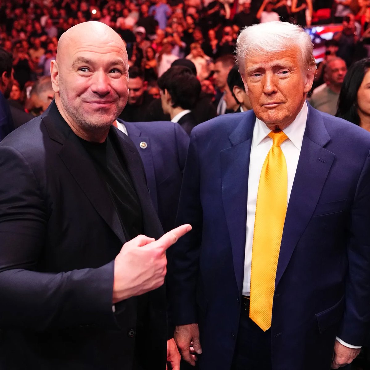 MMA Orbit tweet media