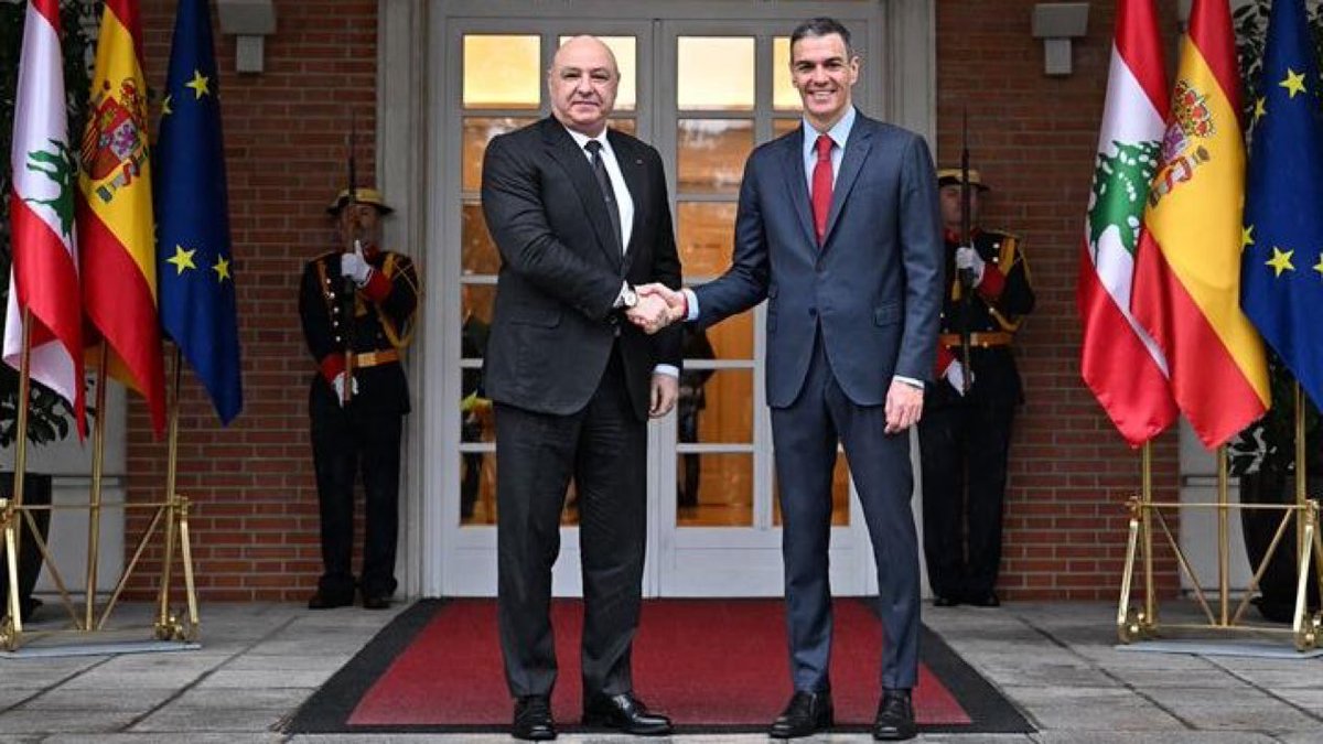 MisterChiton tweet media