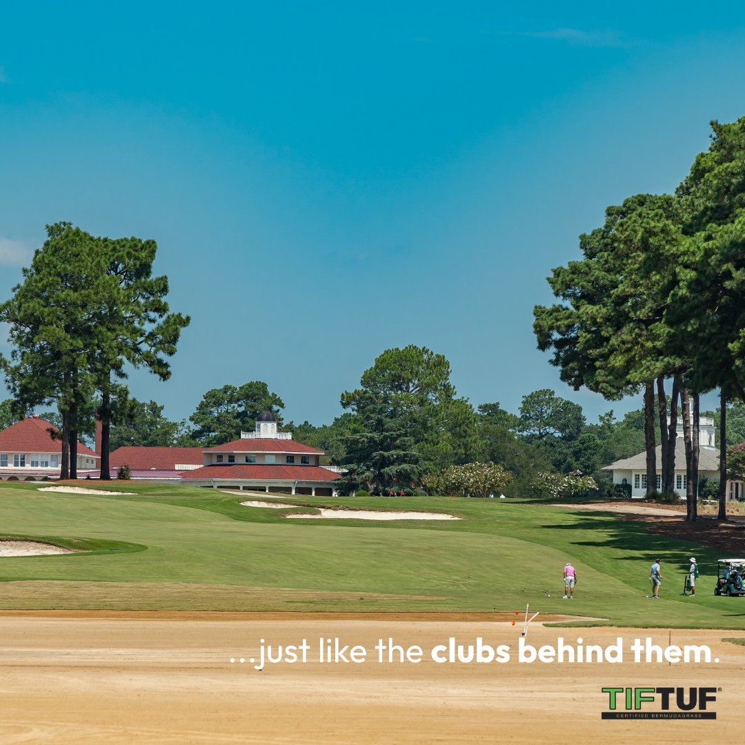 Buy Sod/SodStar tweet media