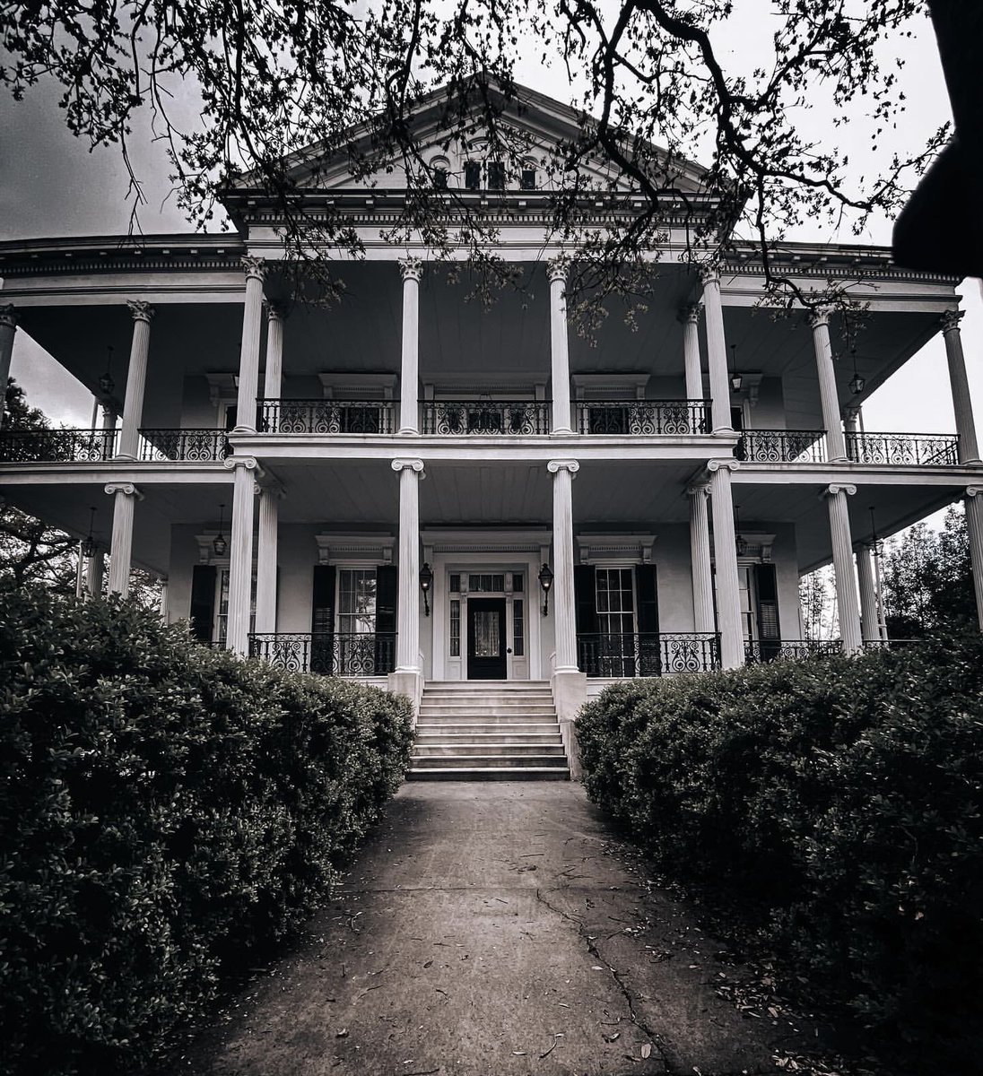 Pop Crave tweet media