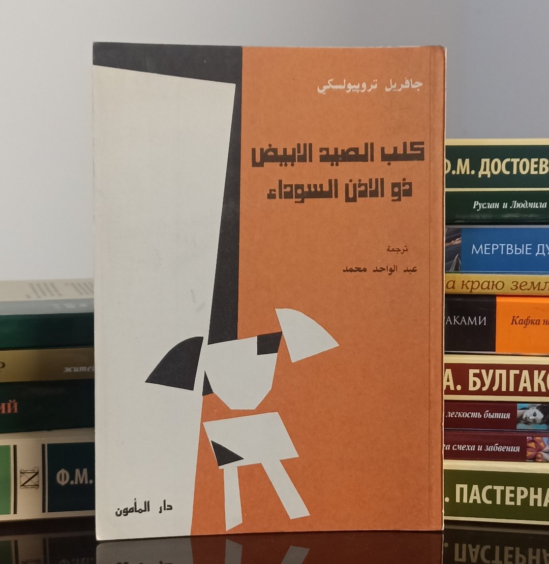 غريب tweet media