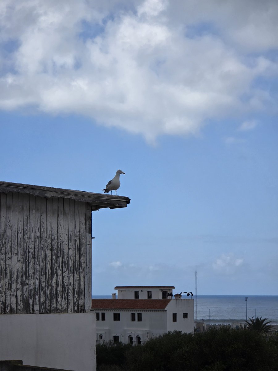 Seulvqman 🕊️ tweet media