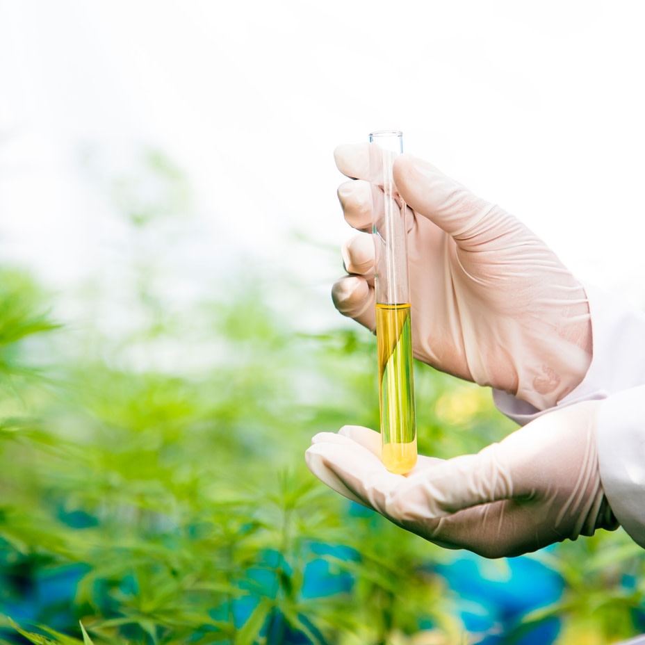 HempTalk tweet media