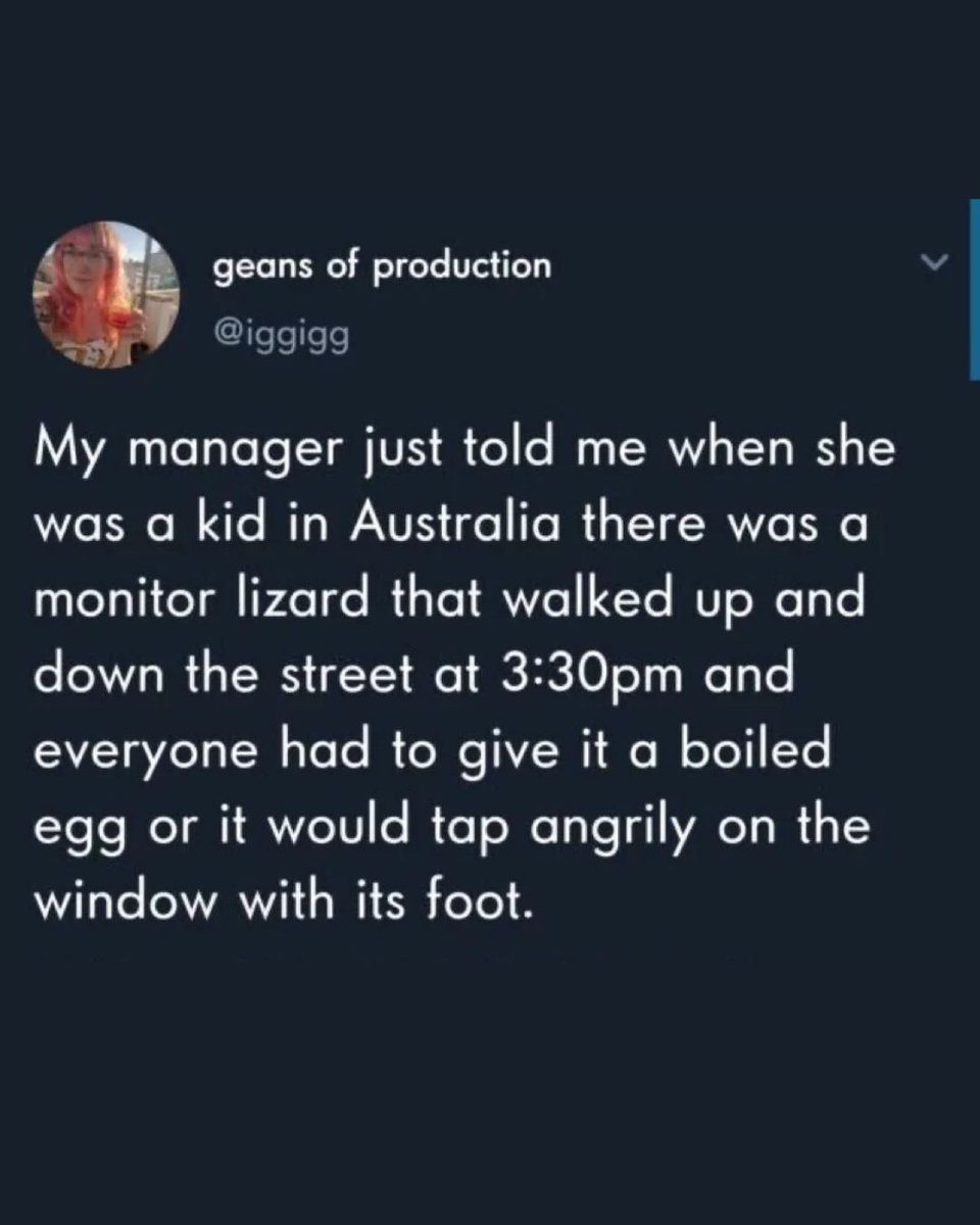 Memedroid's tweet image. The godfather of lizards #manager #memes #australia #lizard #funny