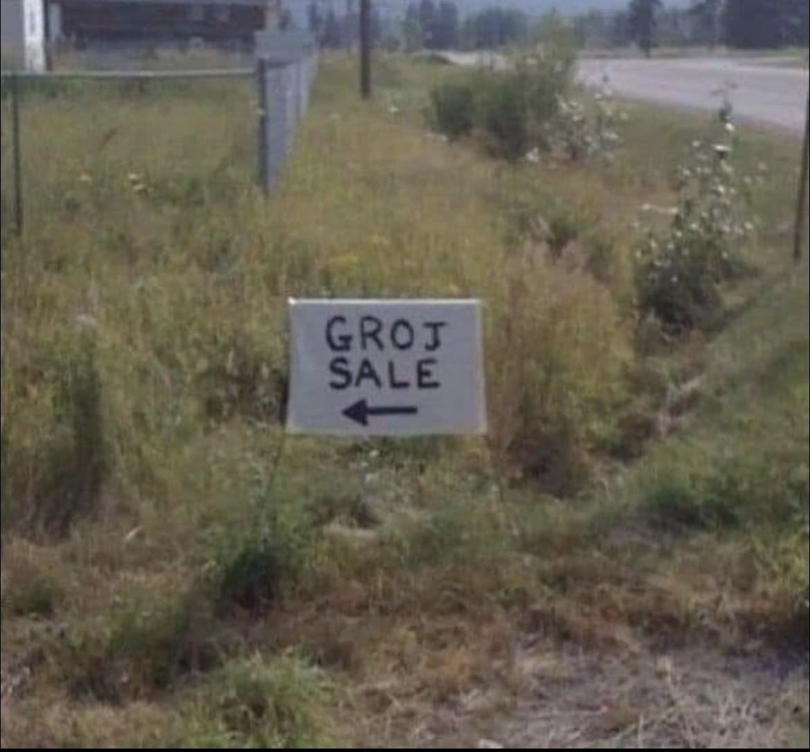 horse dentist tweet media