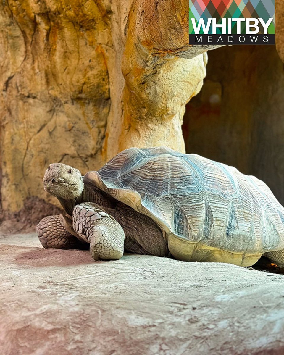 Fieldgate Homes tweet media