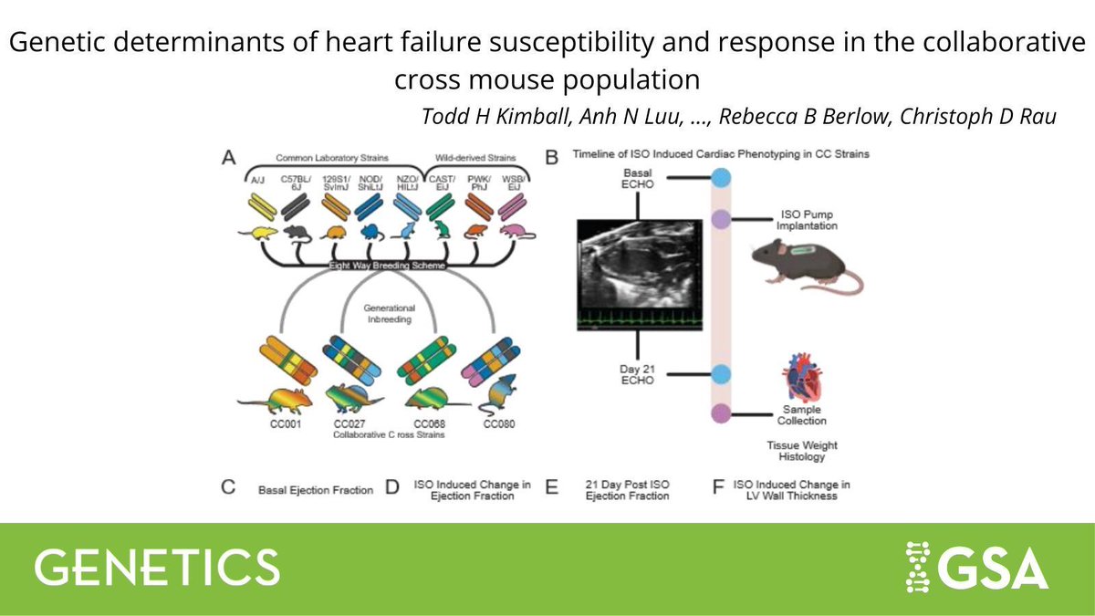 Genetics Society of America tweet media