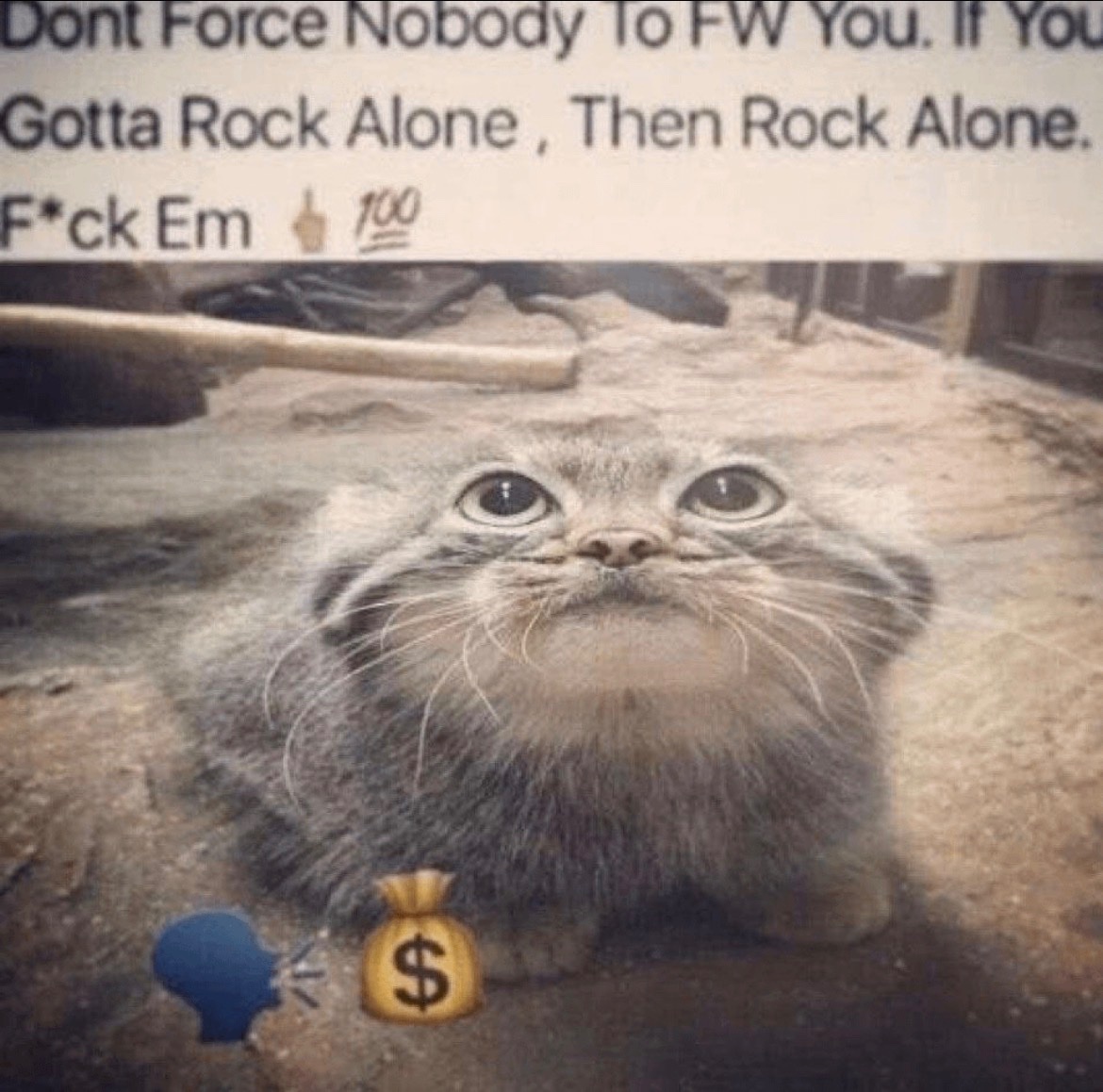 Angel Ramirez tweet media