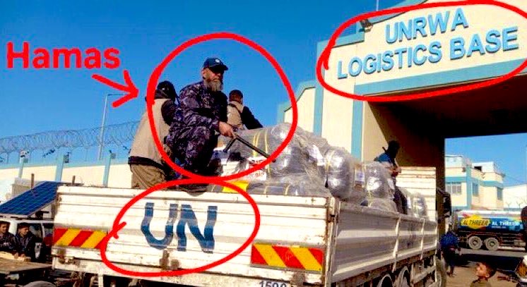 Liza Rosen tweet media