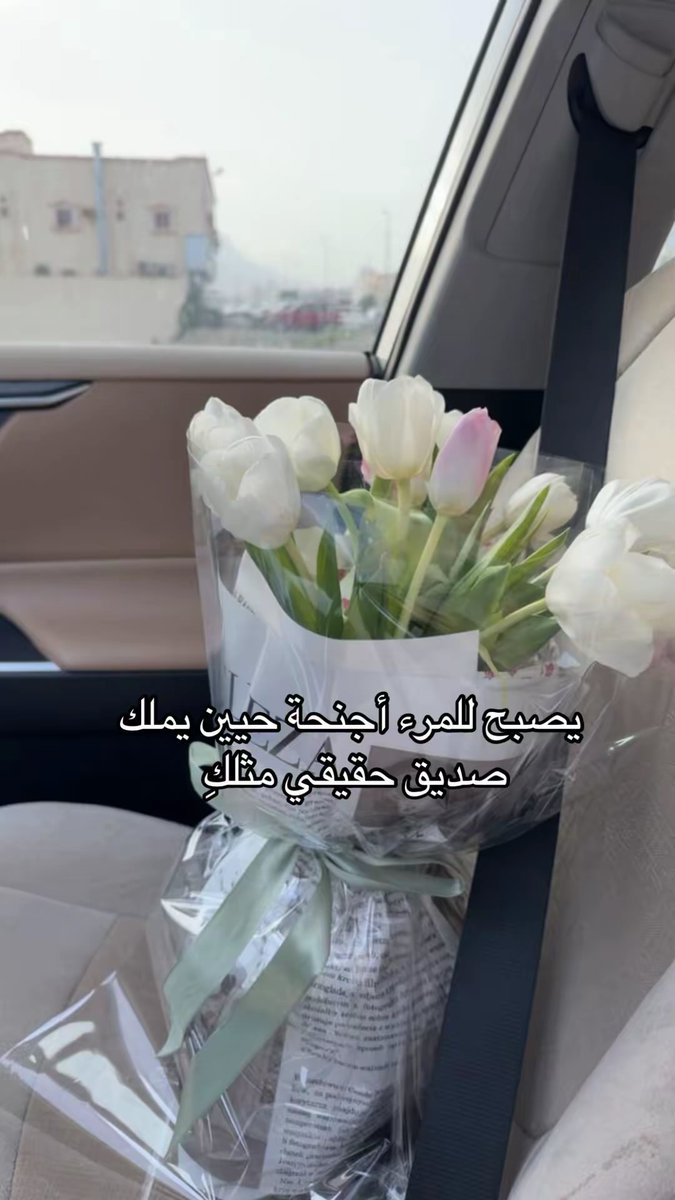 جُ🕊️ tweet media