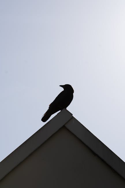 Michael Heath tweet media